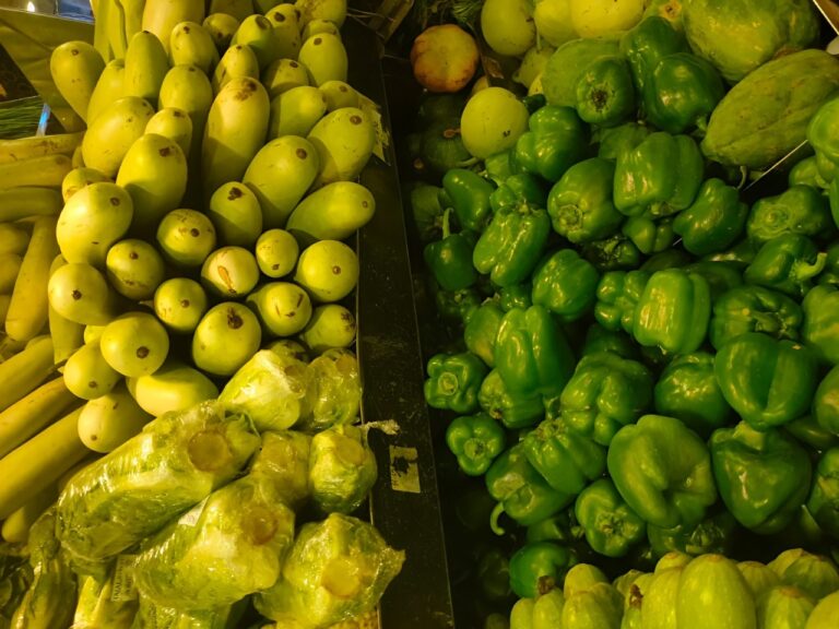 WhatsApp Image 2024-09-17 at 11.33.54 AM (1)